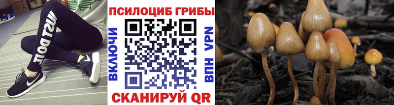 ОМГ ОМГ зеркало  Копейск  Галлюциногенные грибы MAGIC MUSHROOMS 